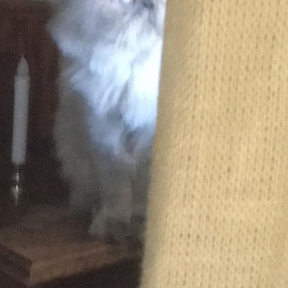 Meet your Posher, Abu